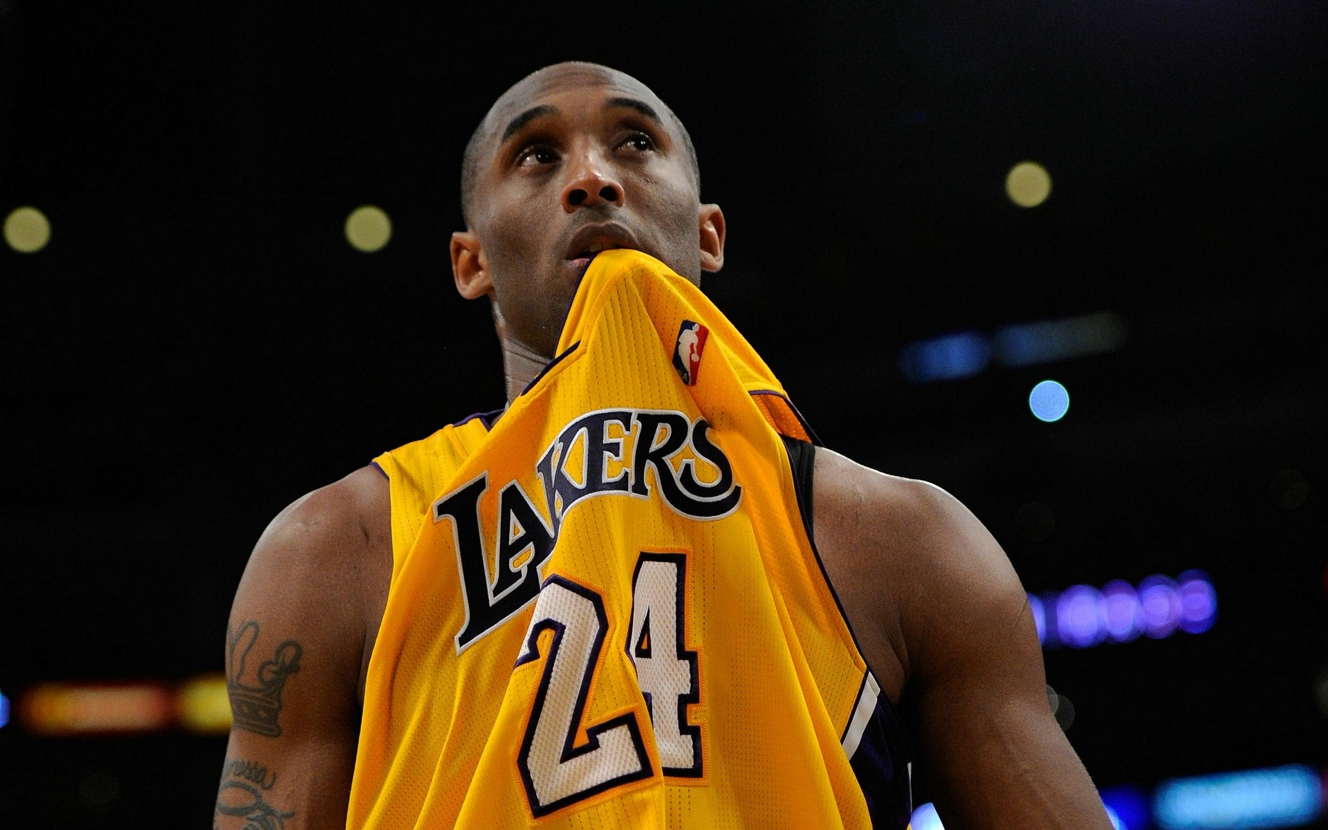 也充分展示 也充分展示