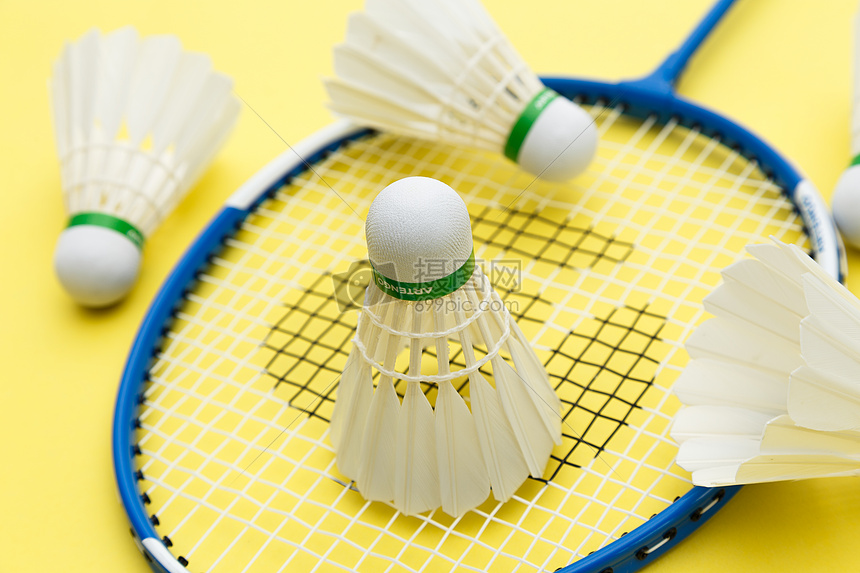 最佳教练 最佳教练