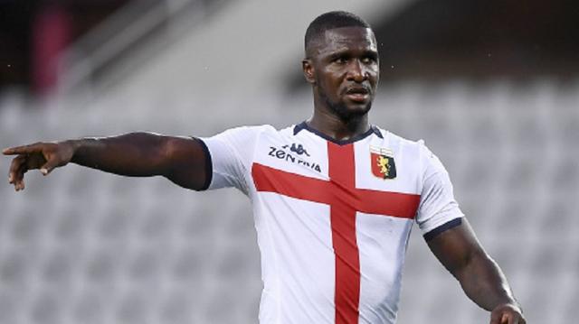 乏观赏性 乏观赏性