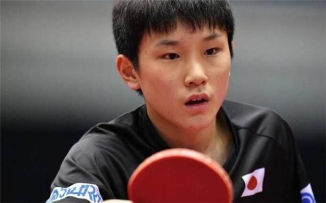 4年的佐尔 4年的佐尔