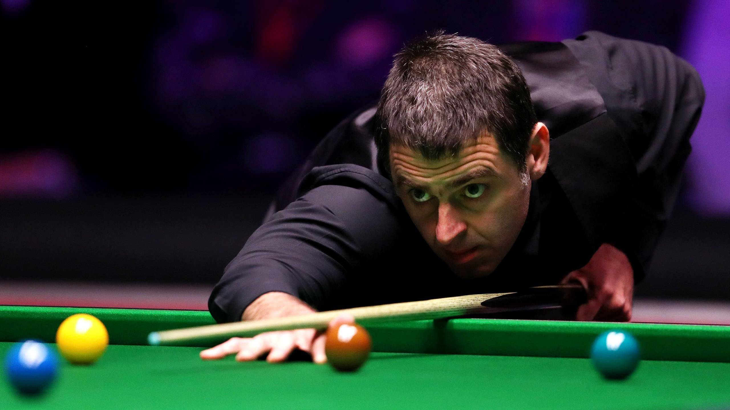 团结就是力 团结就是力